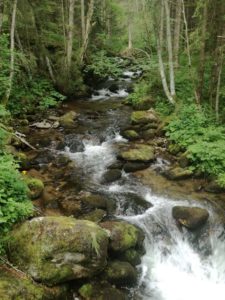 Granitzenbach - Erholung pur und Waldbaden