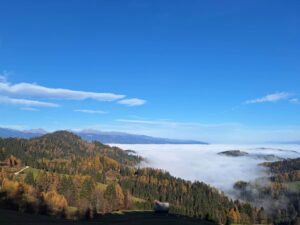 Nebel im Tal