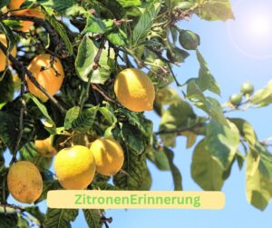 Das Erinnern an eine Zitrone löst unbewusst eine körperliche Reaktion aus