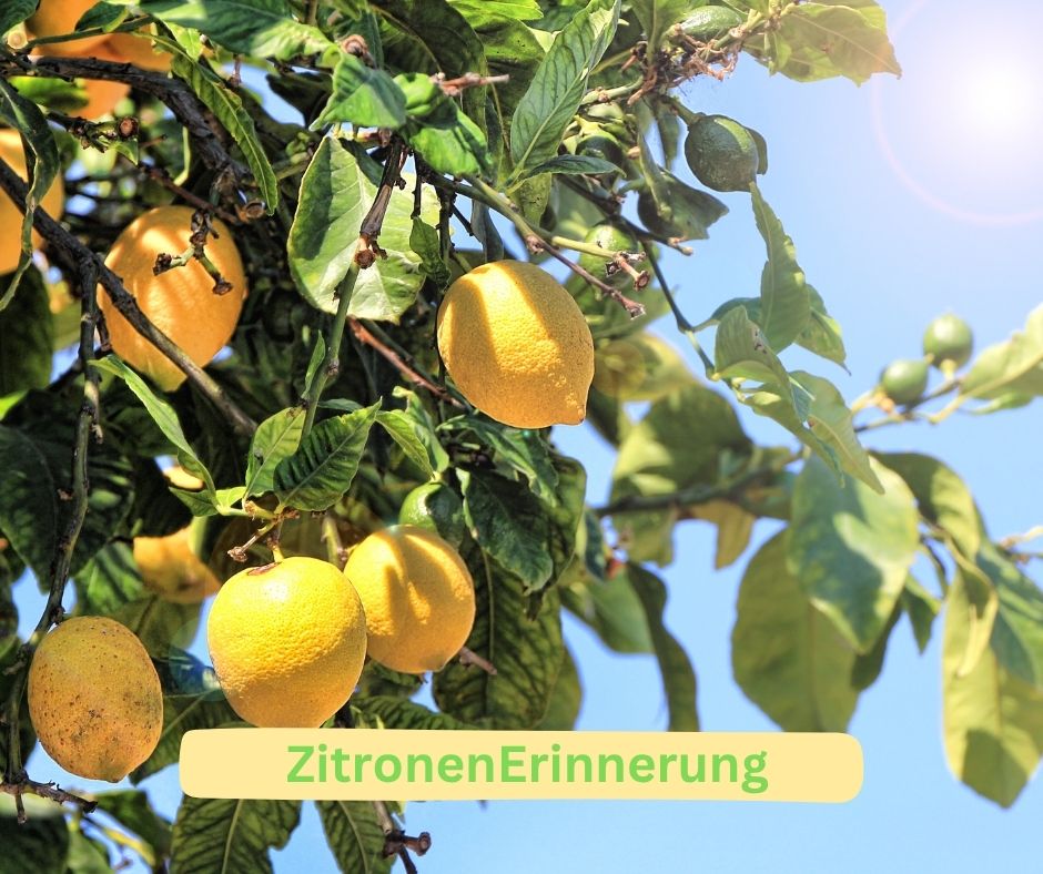 Das Erinnern an eine Zitrone löst unbewusst eine körperliche Reaktion aus