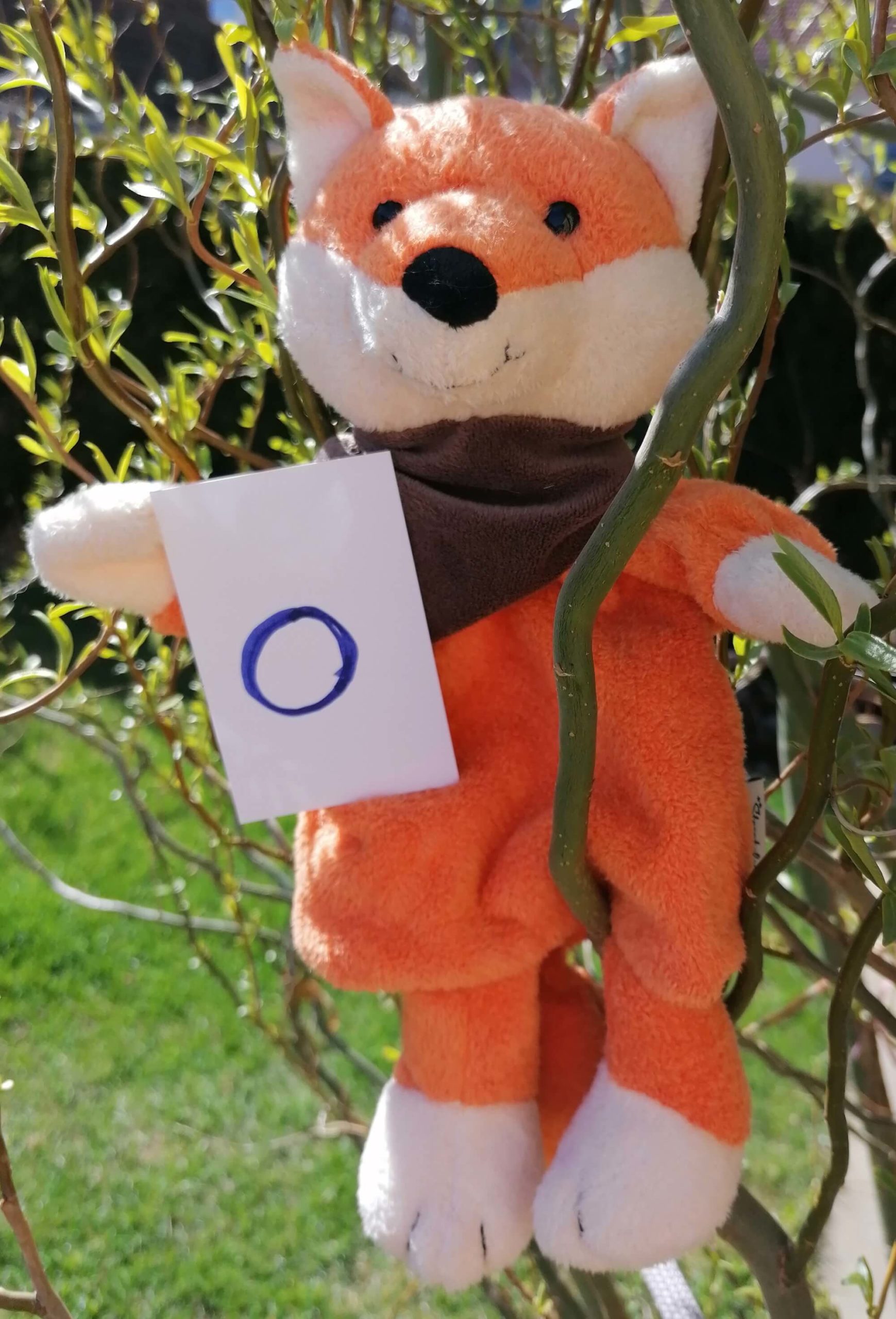 Mehr über den Artikel erfahren Nanu, der KinesioFuzz, erzählt vom „O“