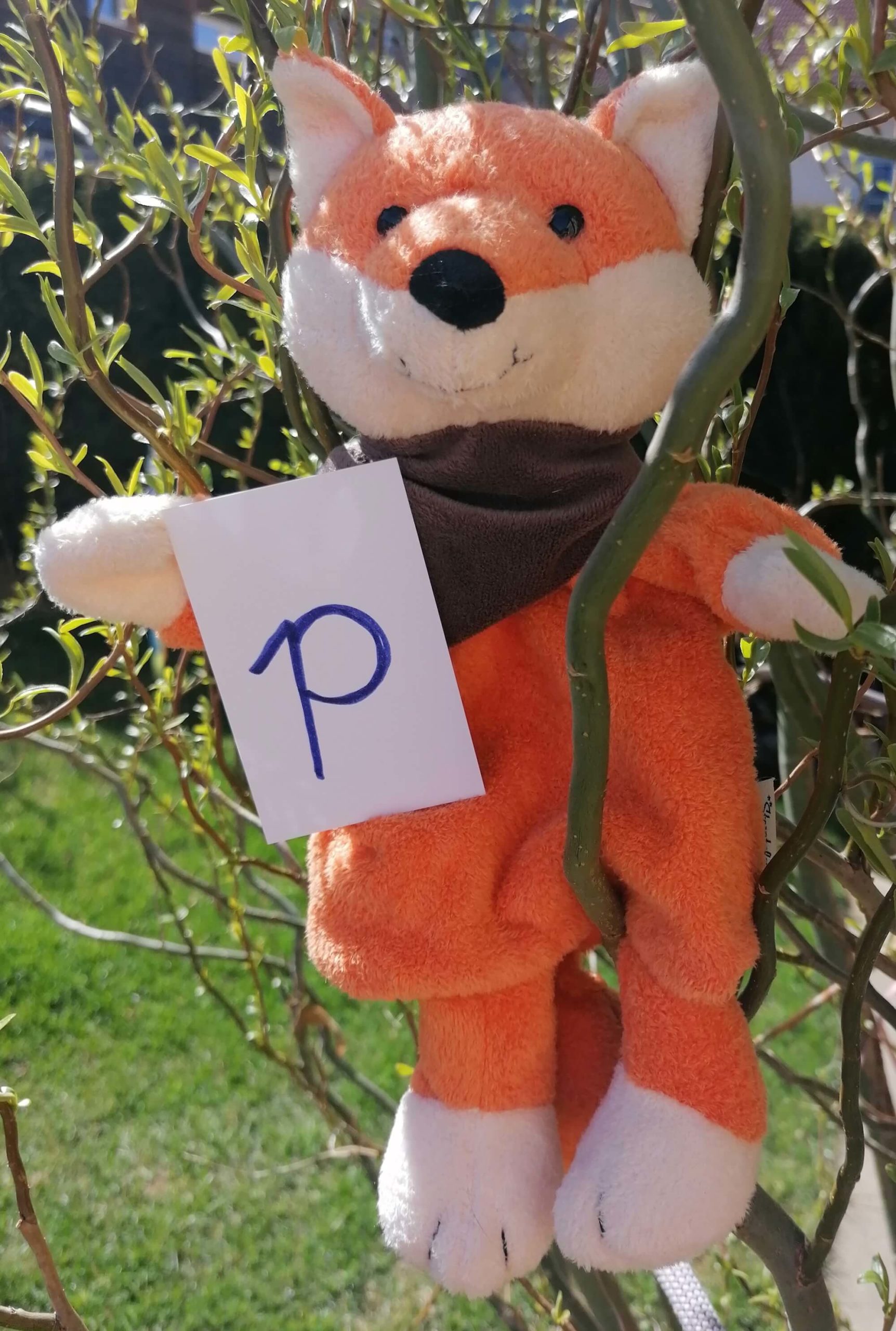 Mehr über den Artikel erfahren Nanu, der Murtaler KinesioFuzz erzählt vom „P“