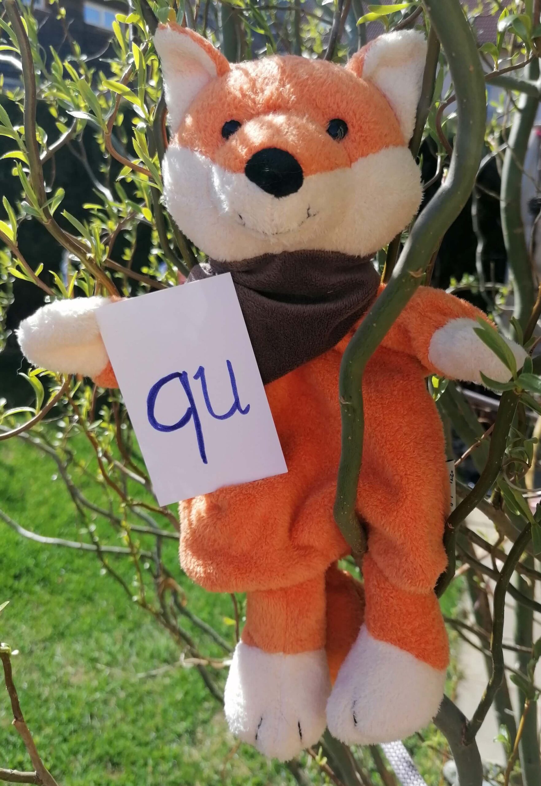 Mehr über den Artikel erfahren Nanu, der Murtaler KinesioFuzz erzählt vom „Qu“