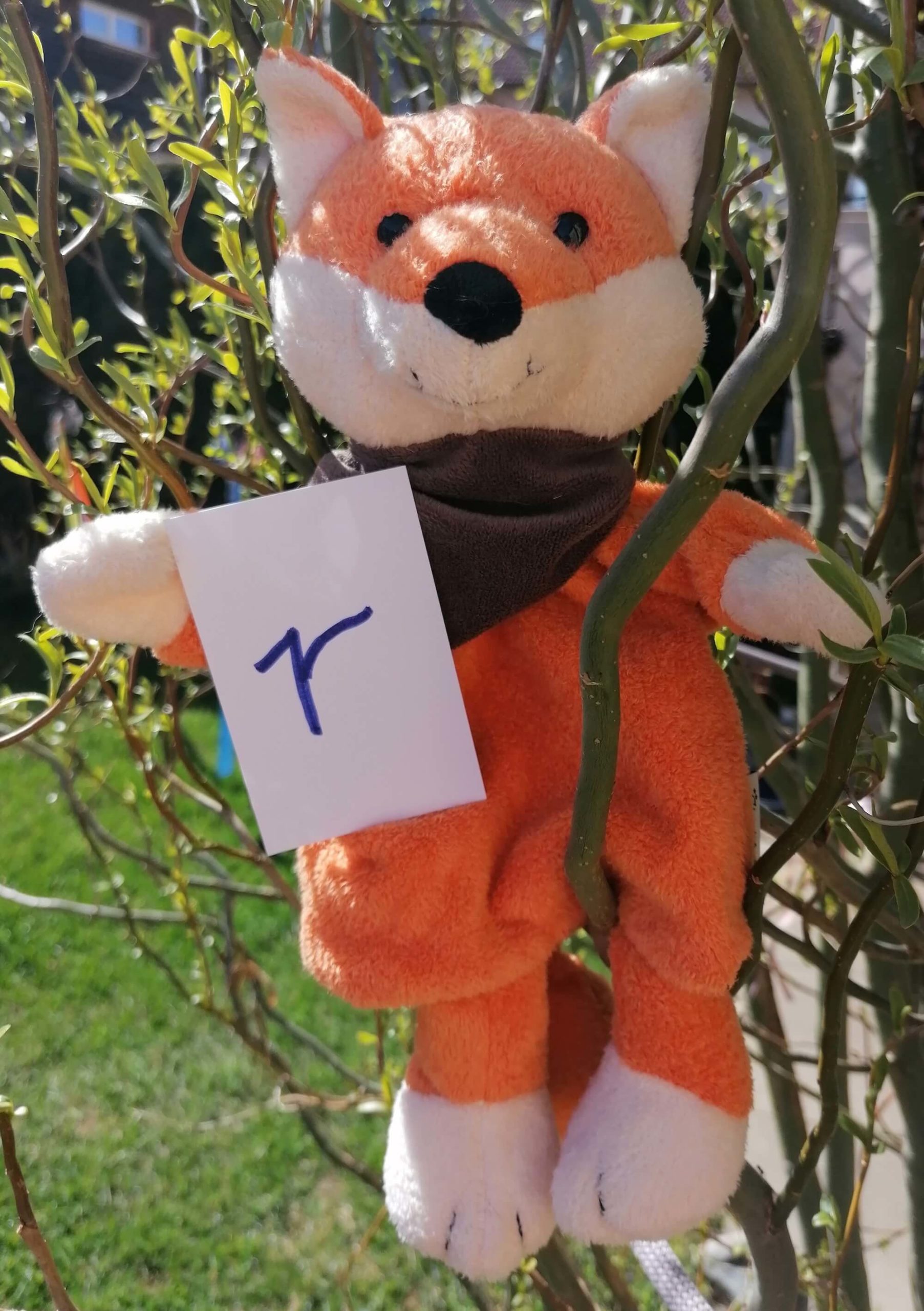 Mehr über den Artikel erfahren Nanu, der Murtaler KinesioFuzz erzählt vom „R“