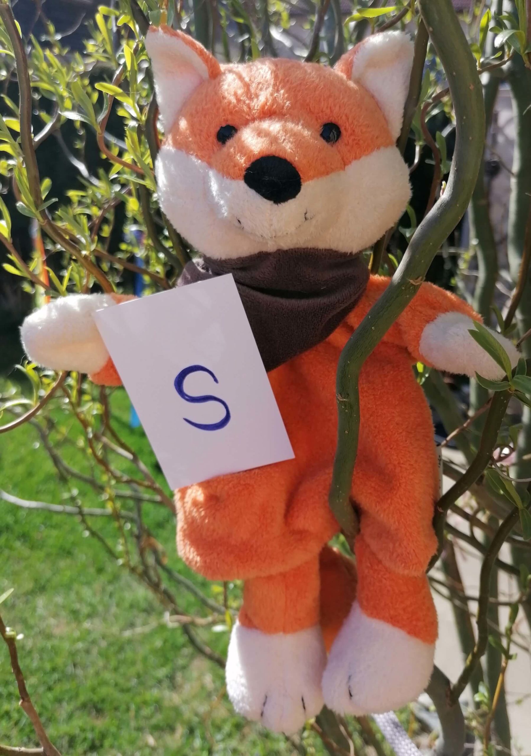 Mehr über den Artikel erfahren Nanu, der Murtaler KinesioFuzz erzählt vom „S“