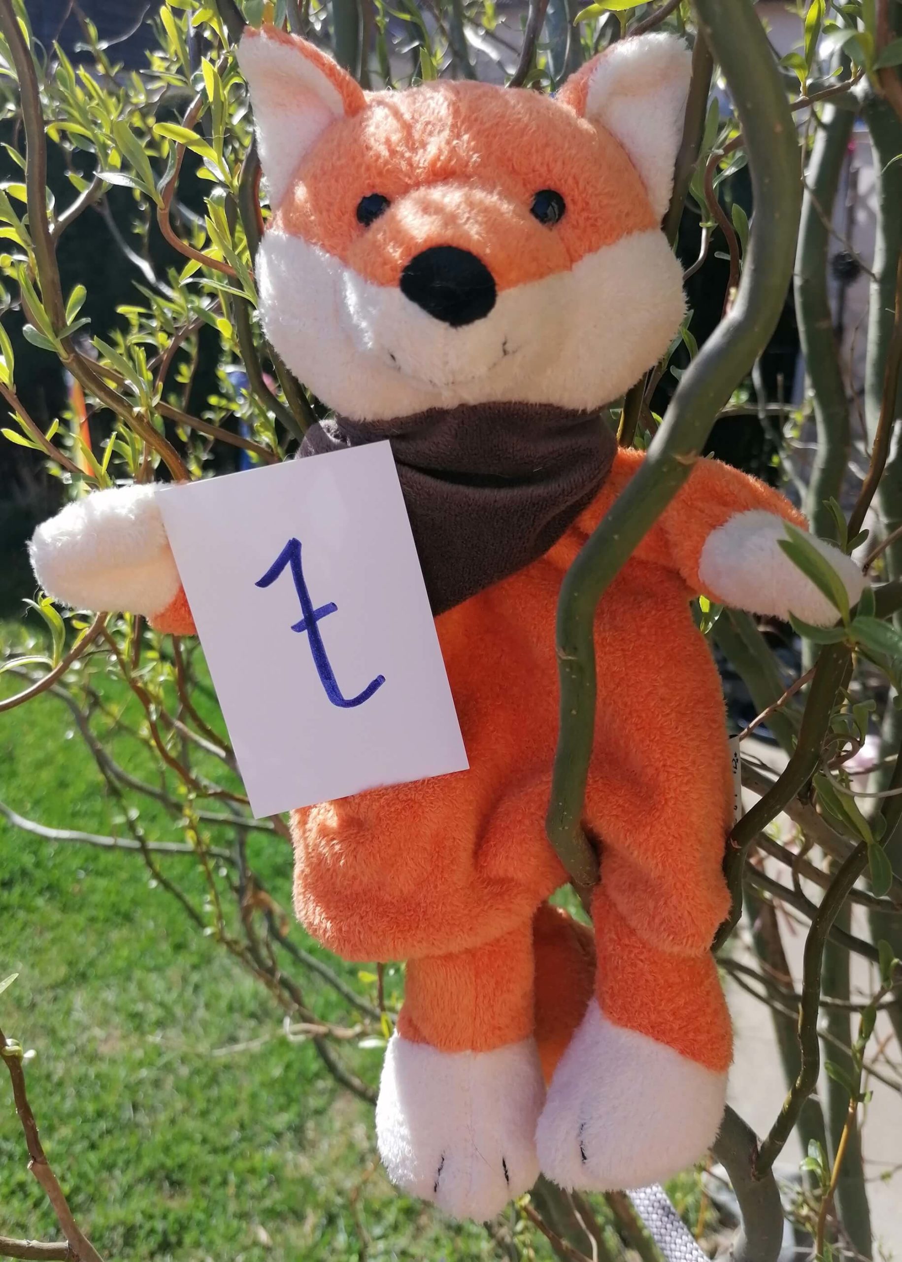 Mehr über den Artikel erfahren Nanu, der Murtaler KinesioFuzz erzählt vom „T“