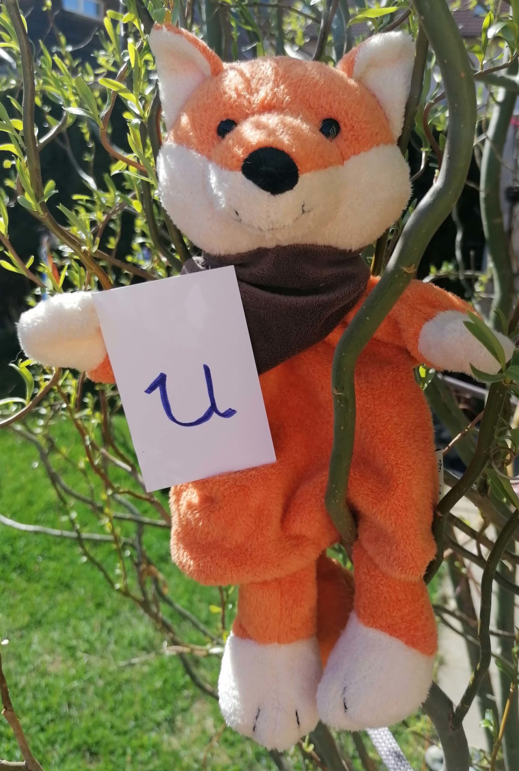 Mehr über den Artikel erfahren Nanu, der Murtaler KinesioFuzz erzählt vom „U“