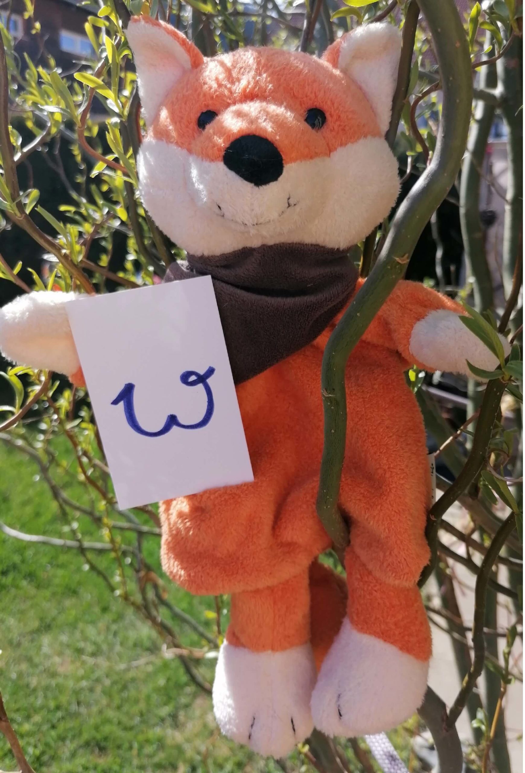 Mehr über den Artikel erfahren Nanu, der Murtaler KinesioFuzz erzählt vom „W“