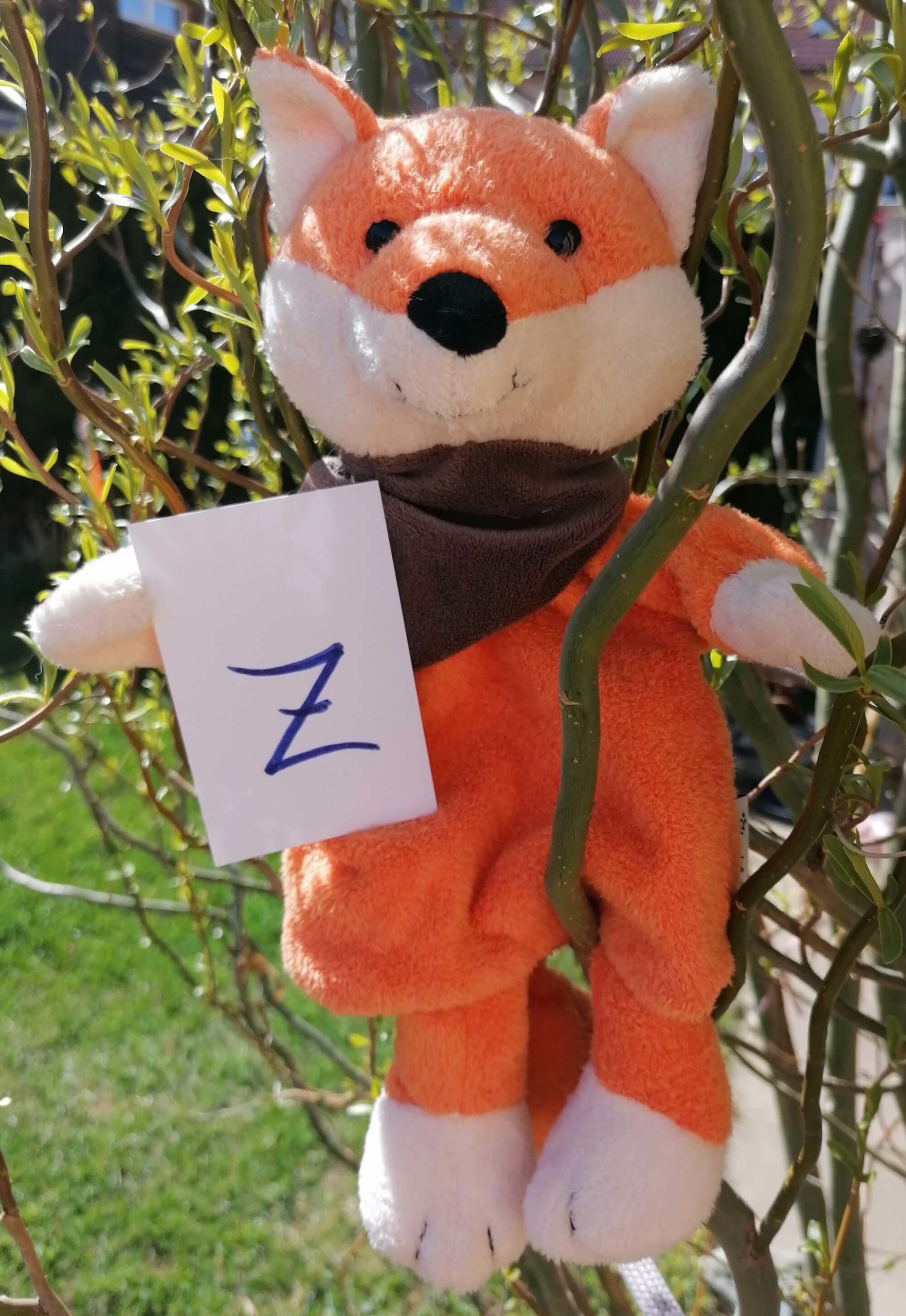 Mehr über den Artikel erfahren Nanu, der Murtaler KinesioFuzz erzählt vom „X Y Z“